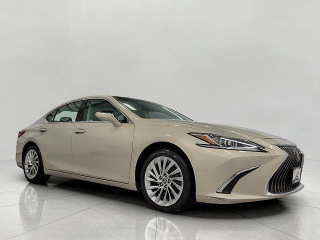 2019 Lexus ES 350 Vehicle Photo in Neenah, WI 54956