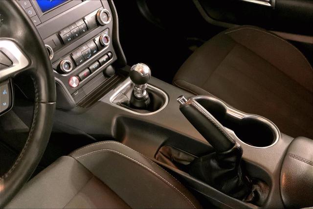 2023 Ford Mustang Vehicle Photo in INDEPENDENCE, MO 64055-1314