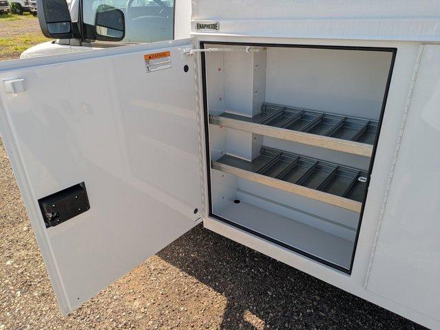 2024 Chevrolet Express Commercial Cutaway Vehicle Photo in SELMA, TX 78154-1460