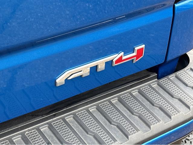 2022 GMC Sierra 1500 Vehicle Photo in BEAUFORT, SC 29906-4218