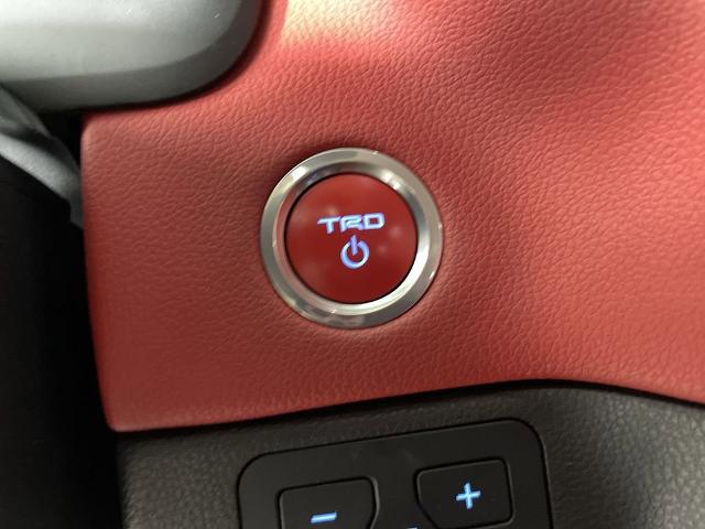2023 Toyota Sequoia Vehicle Photo in GILBERT, AZ 85297-0402