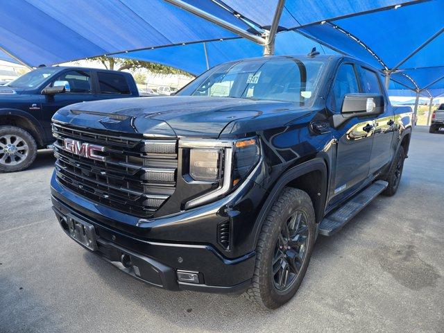 2025 GMC Sierra 1500 Vehicle Photo in Decatur, TX 76234