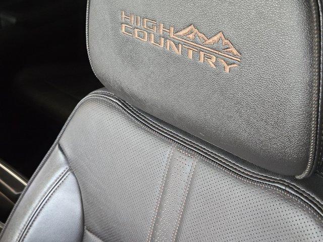 2023 Chevrolet Silverado 1500 Vehicle Photo in Decatur, TX 76234