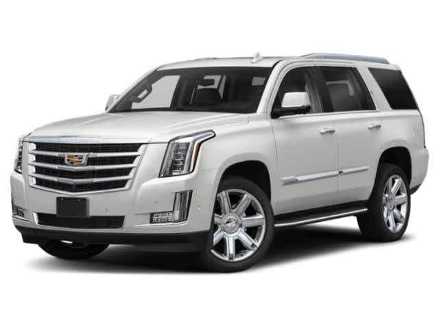 2019 Cadillac Escalade Vehicle Photo in DENTON, TX 76210-9321