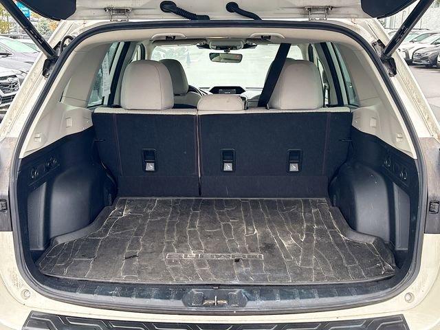 2023 Subaru Forester Vehicle Photo in Doylestown, PA 18902