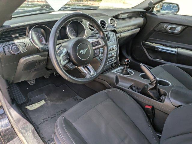 2019 Ford Mustang Vehicle Photo in SELMA, TX 78154-1459