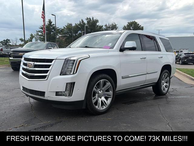 2020 Cadillac Escalade Vehicle Photo in KANSAS CITY, MO 64114-4545