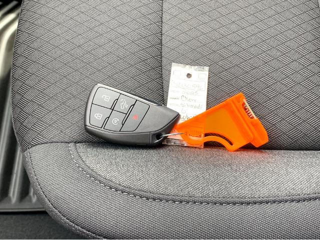 2025 Chevrolet Silverado 1500 Vehicle Photo in BEAUFORT, SC 29906-4218