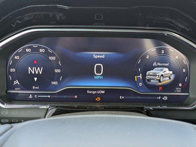 2025 Chevrolet Silverado 1500 Vehicle Photo in BRUNSWICK, GA 31525-1881