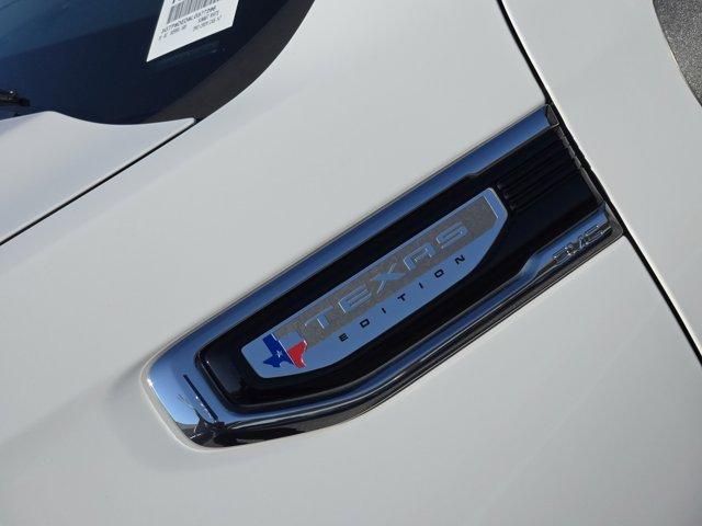 2020 GMC Sierra 1500 Vehicle Photo in Decatur, TX 76234