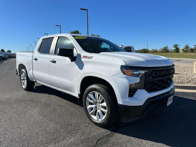 2022 Chevrolet Silverado 1500 Vehicle Photo in COLUMBIA, MO 65203-3903