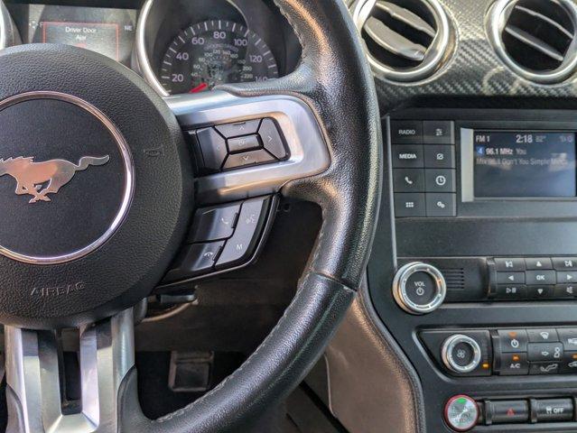 2019 Ford Mustang Vehicle Photo in SELMA, TX 78154-1459