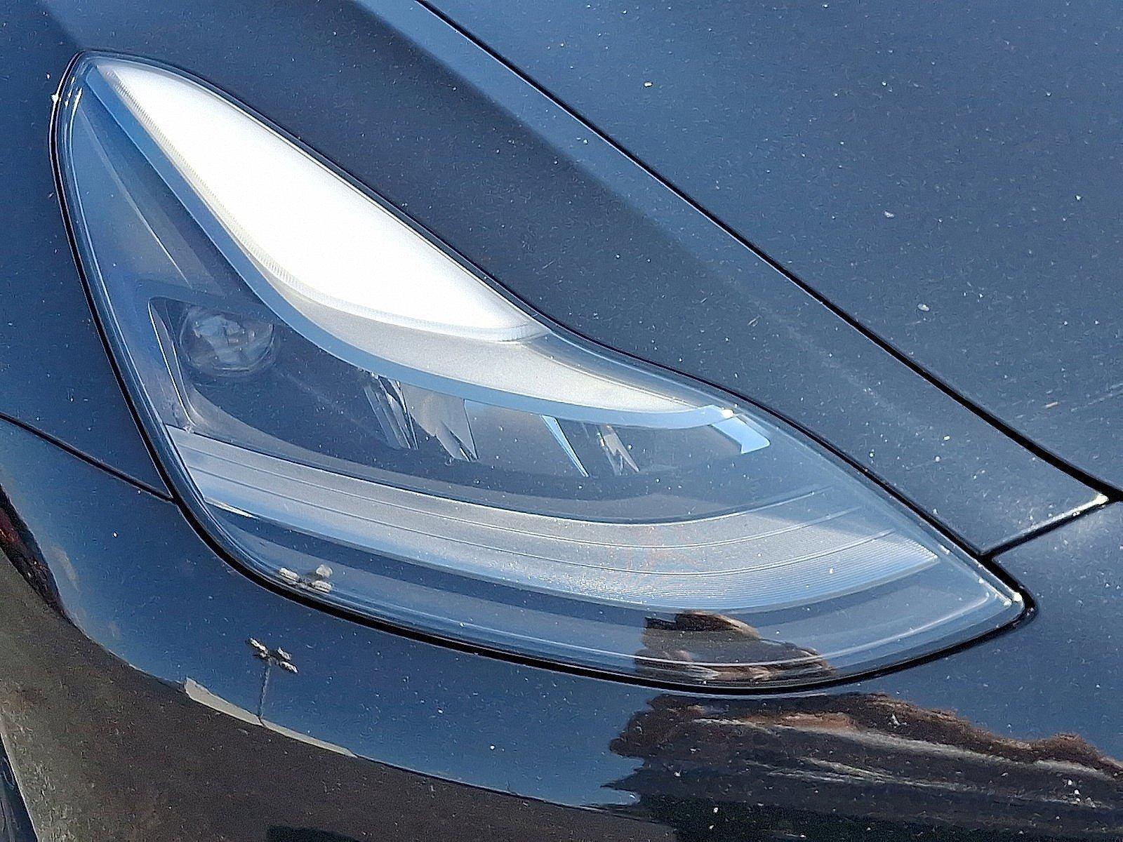 2022 Tesla Model 3 Vehicle Photo in Harrisburg, PA 17111