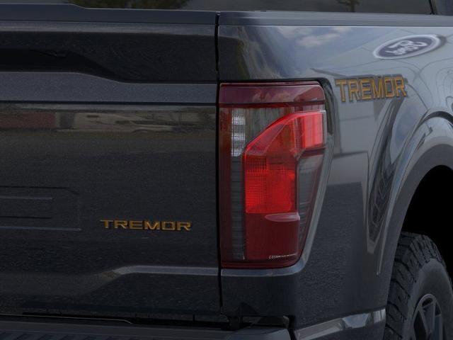 2025 Ford F-150 Vehicle Photo in Weatherford, TX 76087