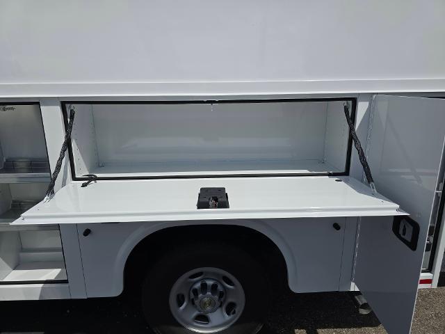 2025 Chevrolet Express Commercial Cutaway Vehicle Photo in INDEPENDENCE, MO 64055-1314