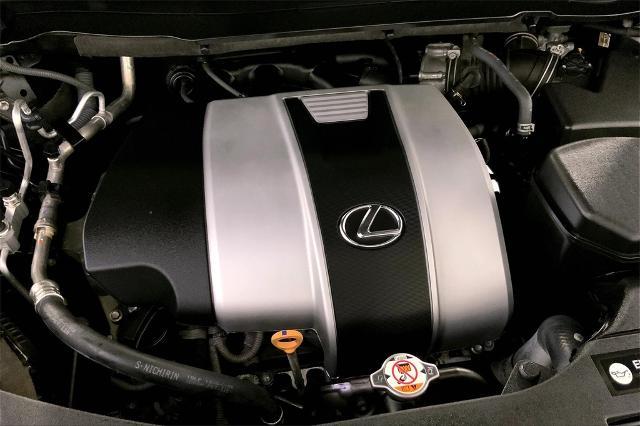 2020 Lexus RX 350 Vehicle Photo in Lees Summit, MO 64086
