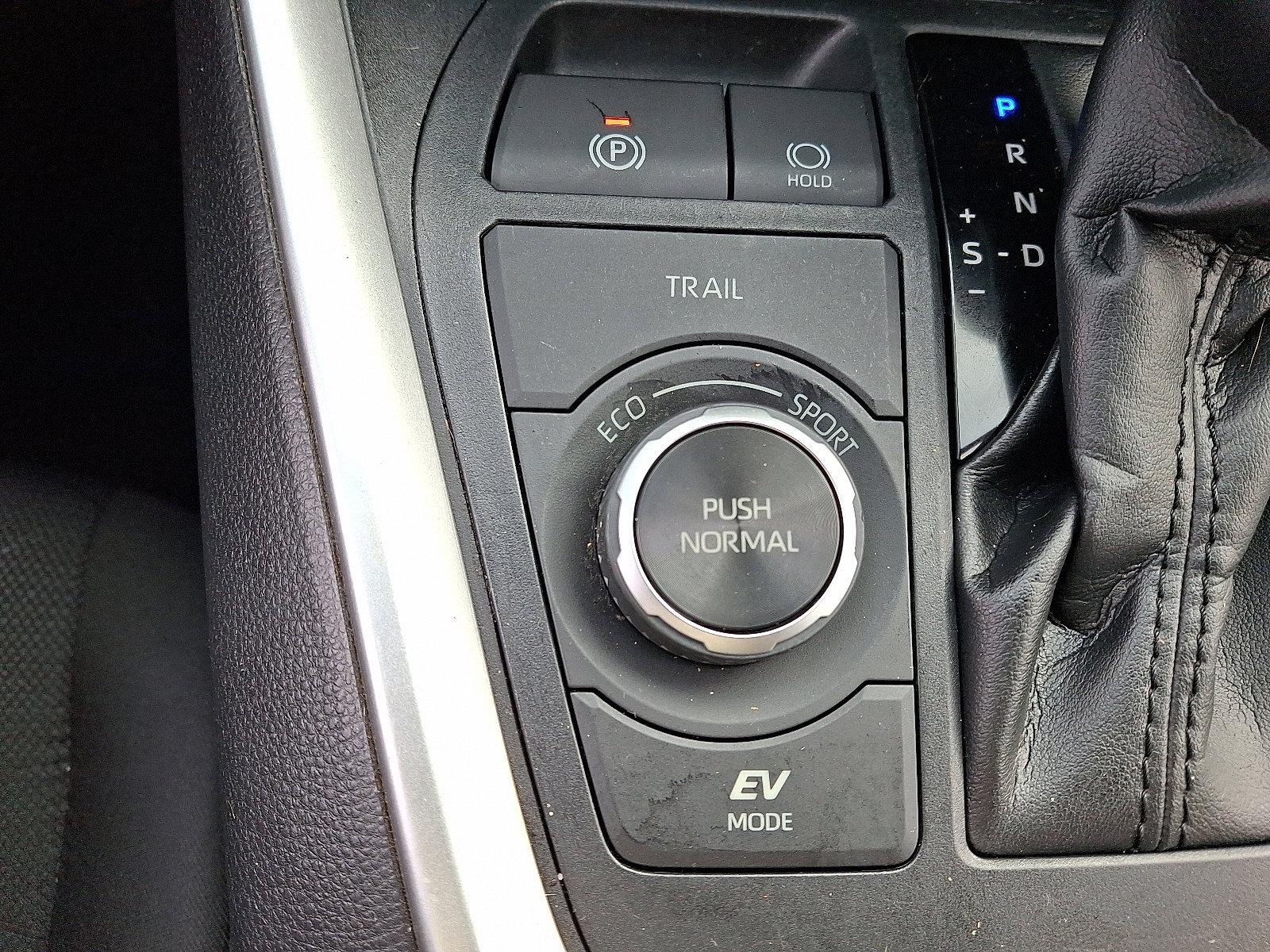 2020 Toyota RAV4 Vehicle Photo in Easton, PA 18045