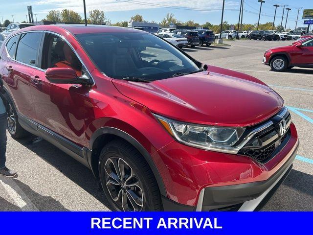 2022 Honda CR-V Vehicle Photo in Merrillville, IN 46410