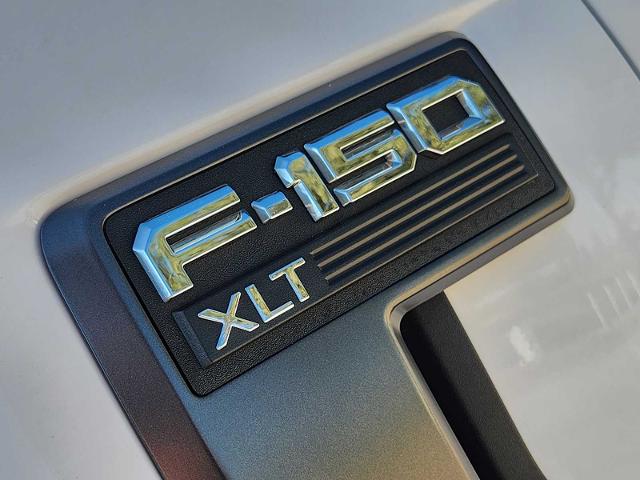2021 Ford F-150 Vehicle Photo in DENTON, TX 76210-9321