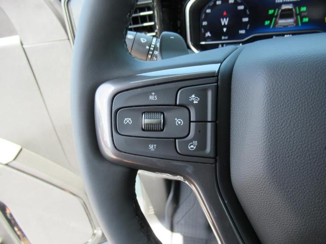 2025 Chevrolet Silverado 1500 Vehicle Photo in LEESBURG, FL 34788-4022
