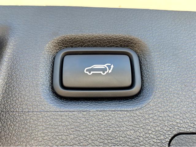 2023 Hyundai SANTA FE Vehicle Photo in BEAUFORT, SC 29906-4218