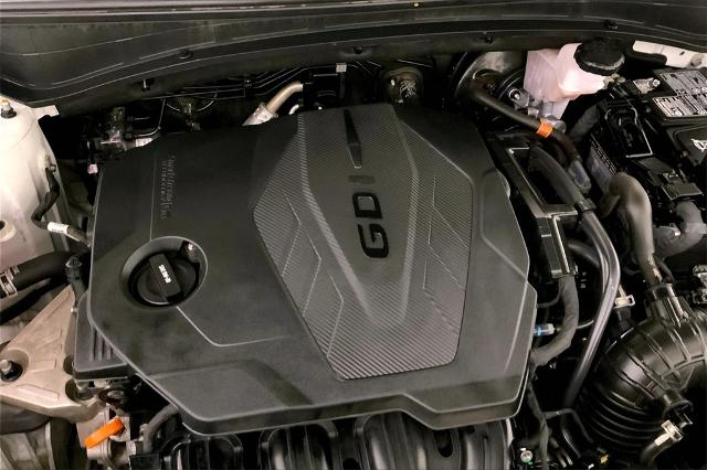 2023 Kia Sportage Vehicle Photo in Lees Summit, MO 64086