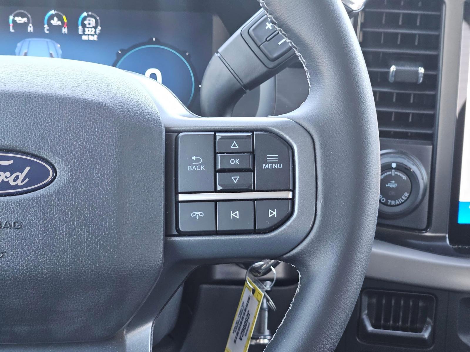 2024 Ford F-150 Vehicle Photo in Seguin, TX 78155