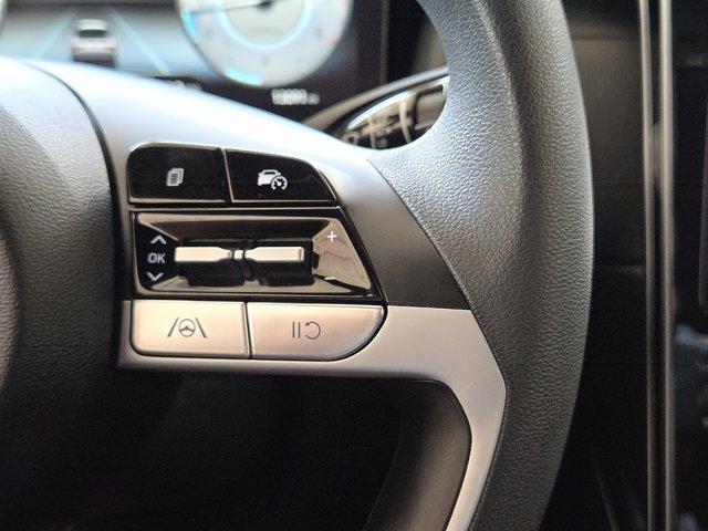 2024 Hyundai SANTA CRUZ Vehicle Photo in Decatur, TX 76234