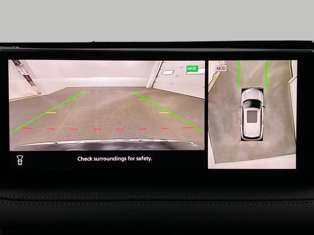 2025 INFINITI QX60 Vehicle Photo in Appleton, WI 54913