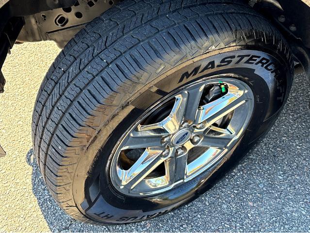 2024 Ford F-150 Vehicle Photo in BEAUFORT, SC 29906-4218