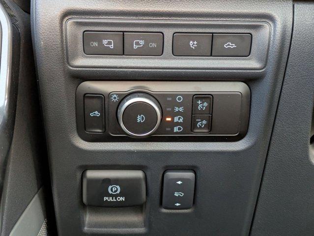 2023 Ford F-150 Vehicle Photo in SELMA, TX 78154-1459