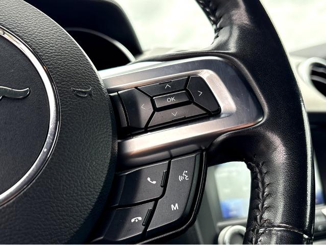 2022 Ford Mustang Vehicle Photo in BEAUFORT, SC 29906-4218