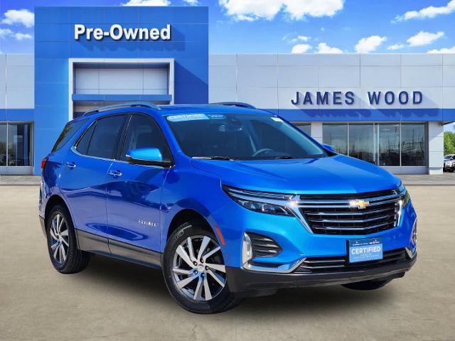 2024 Chevrolet Equinox Vehicle Photo in DENTON, TX 76210-9321
