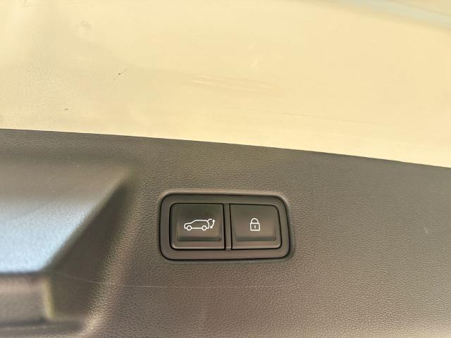2024 Hyundai SANTA FE Hybrid Vehicle Photo in Statesboro, GA 30458
