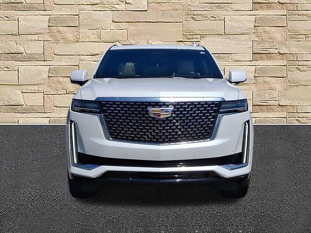 2023 Cadillac Escalade Vehicle Photo in DANBURY, CT 06810-5034