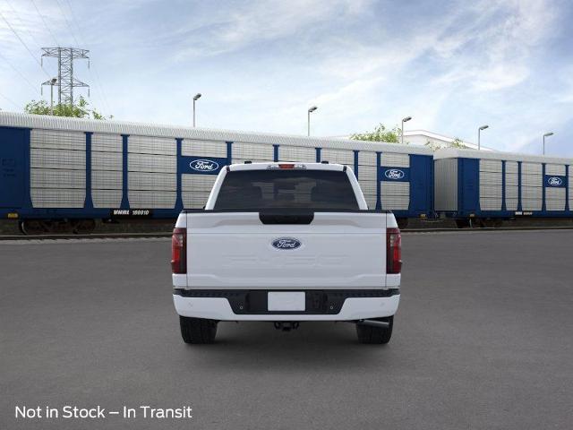 2025 Ford F-150 Vehicle Photo in Weatherford, TX 76087
