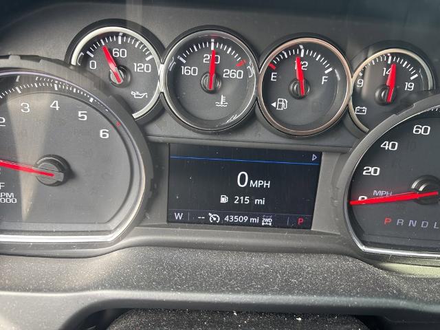2019 Chevrolet Silverado 1500 Vehicle Photo in HARRISBURG, PA 17111-1033
