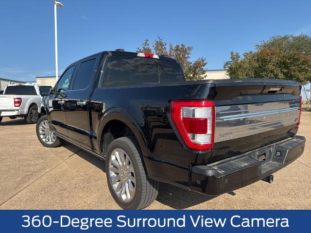 2023 Ford F-150 Vehicle Photo in Weatherford, TX 76087