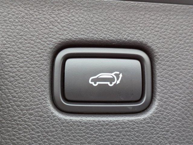 2025 Kia Seltos Vehicle Photo in BRUNSWICK, GA 31525-1881