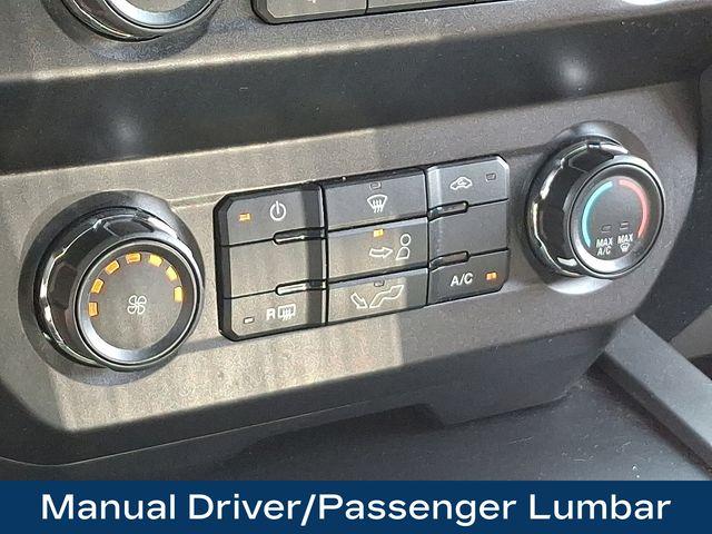 2019 Ford F-150 Vehicle Photo in DANBURY, CT 06810-5034