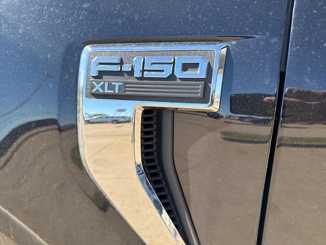 2023 Ford F-150 Vehicle Photo in Weatherford, TX 76087