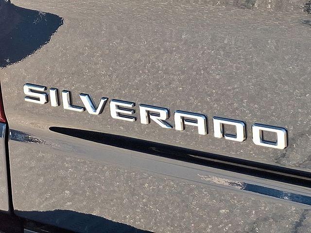 2022 Chevrolet Silverado 1500 Vehicle Photo in DANBURY, CT 06810-5034