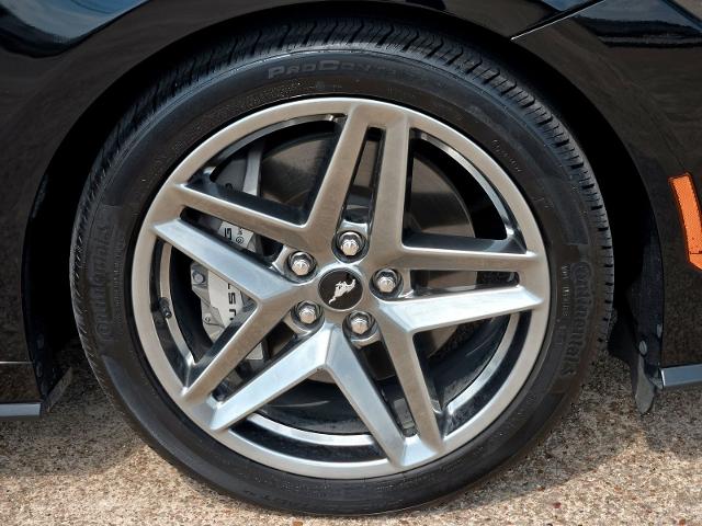 2024 Ford Mustang Vehicle Photo in Weatherford, TX 76087