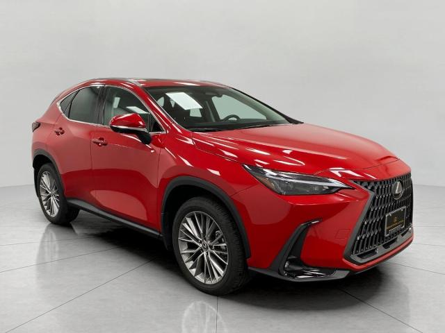 2025 Lexus NX 350 Vehicle Photo in Neenah, WI 54956