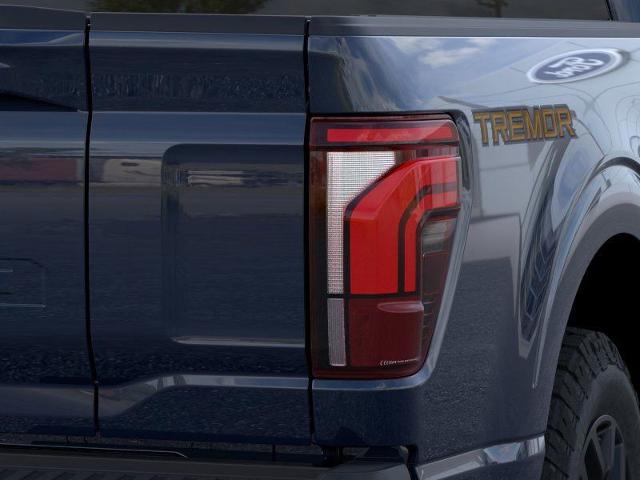 2025 Ford F-150 Vehicle Photo in Weatherford, TX 76087