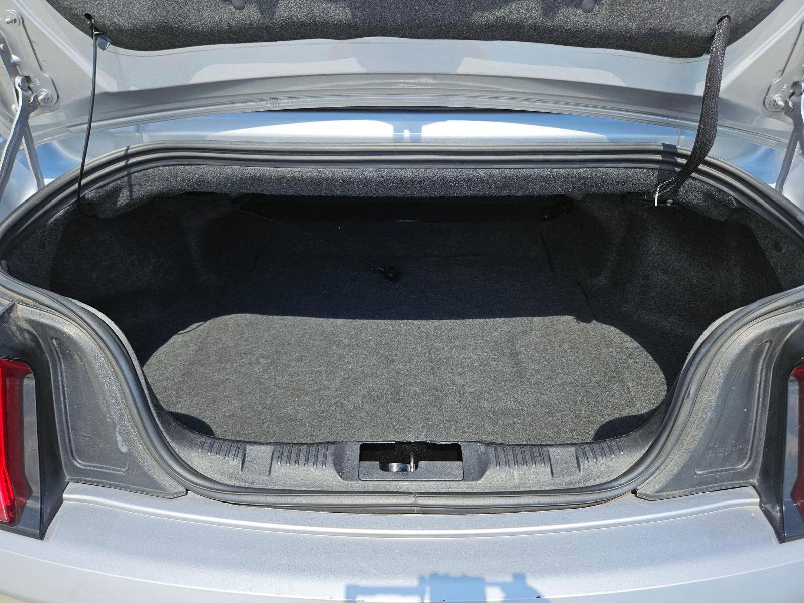 2023 Ford Mustang Vehicle Photo in Seguin, TX 78155