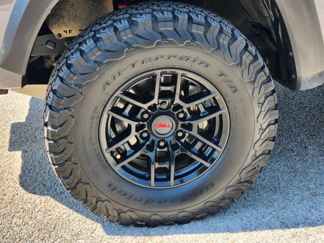 2020 Toyota Tacoma 4WD Vehicle Photo in DENTON, TX 76210-9321