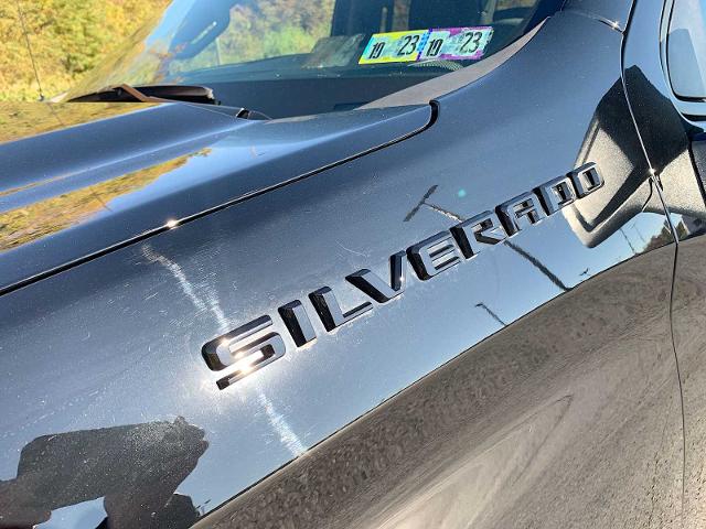 2020 Chevrolet Silverado 1500 Vehicle Photo in MOON TOWNSHIP, PA 15108-2571