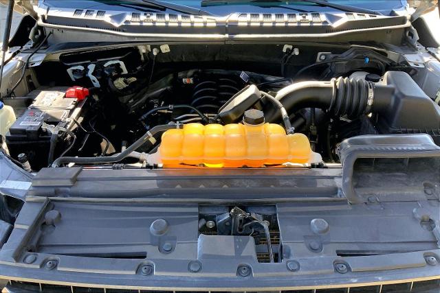 2020 Ford F-150 Vehicle Photo in KANSAS CITY, MO 64114-4502
