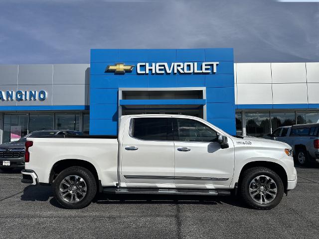 2023 Chevrolet Silverado 1500 Vehicle Photo in AMSTERDAM, NY 12010-6209